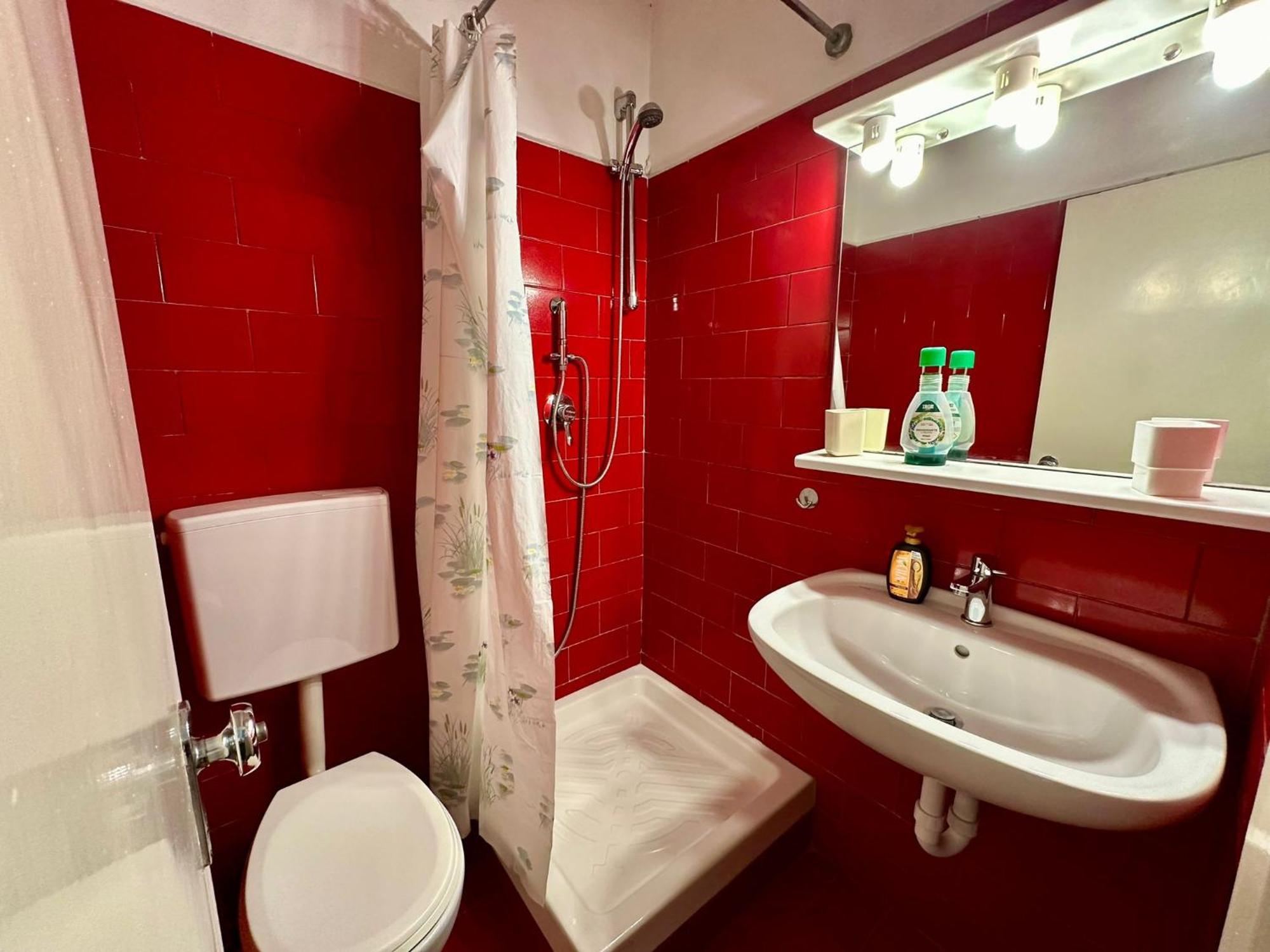 Bellavista Appartamento Sul Mare アラッシオ エクステリア 写真